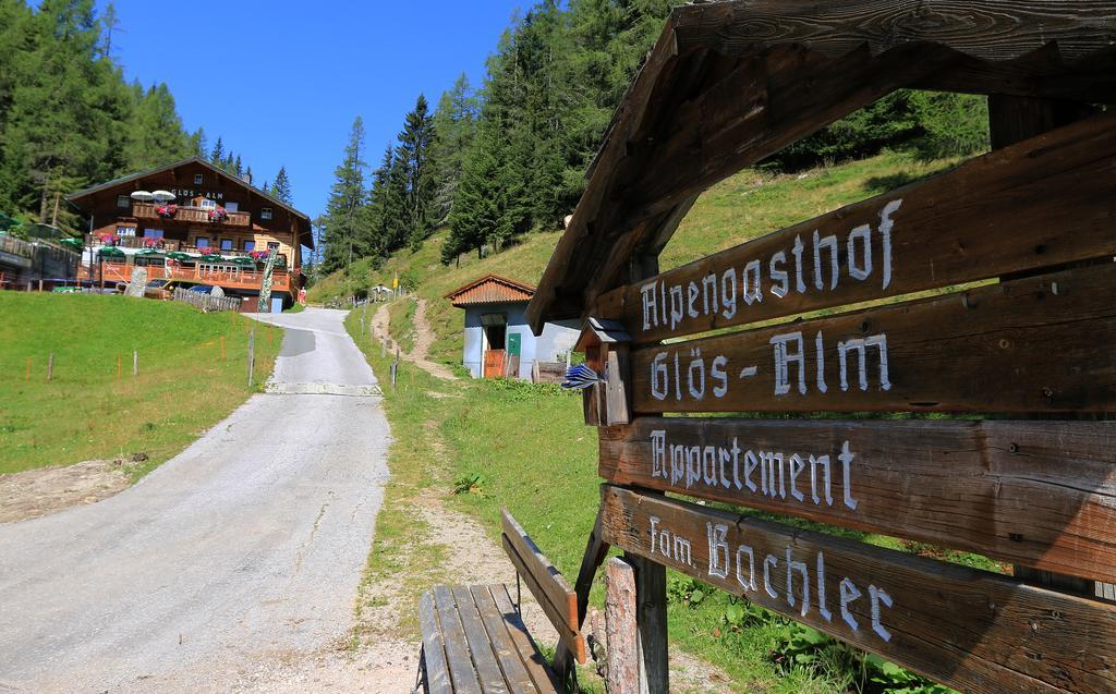 Gloesalm Appartement Ramsau am Dachstein Buitenkant foto