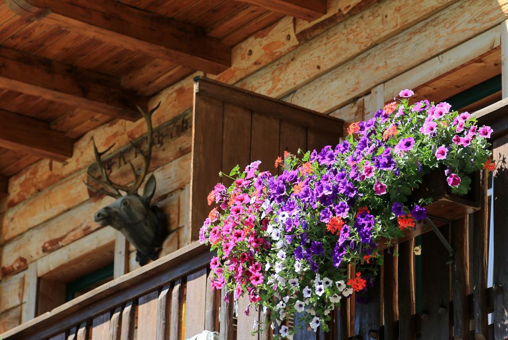 Gloesalm Appartement Ramsau am Dachstein Buitenkant foto