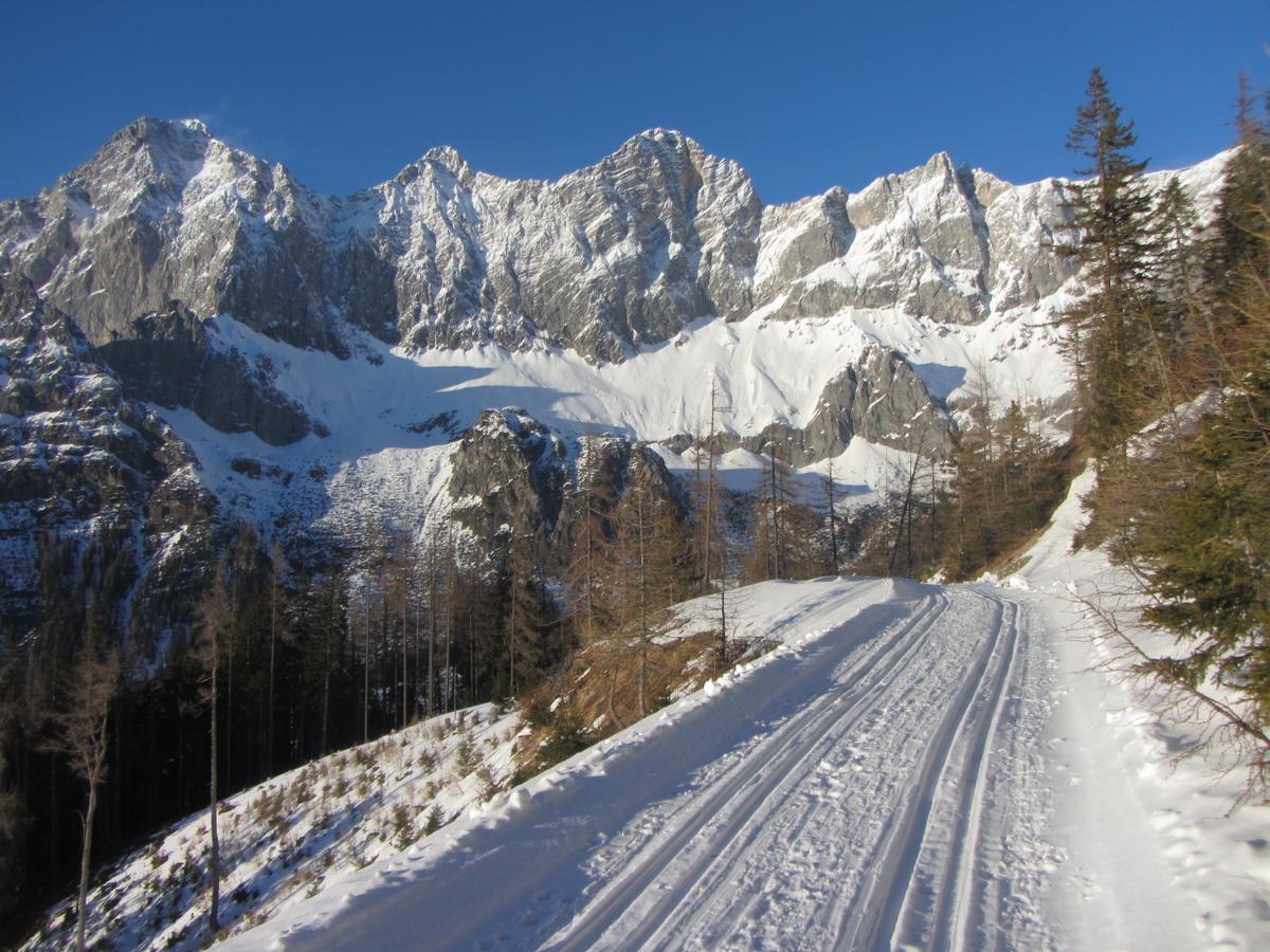 Gloesalm Appartement Ramsau am Dachstein Buitenkant foto