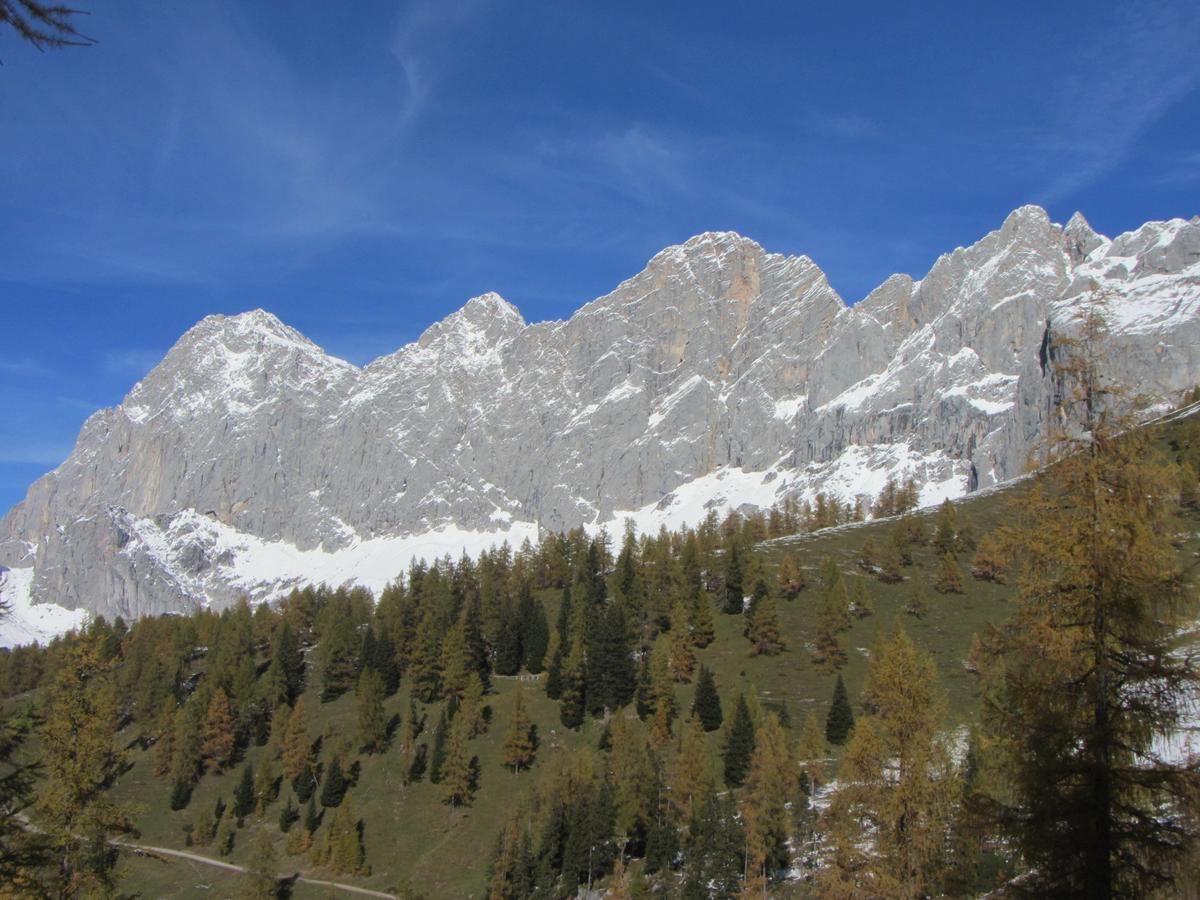 Gloesalm Appartement Ramsau am Dachstein Buitenkant foto